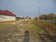 IMG_7324.JPG