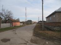 IMG_7334.JPG