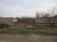 IMG_7336.JPG