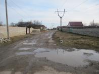 IMG_7339.JPG