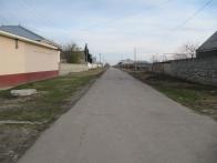 IMG_7341.JPG