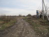 IMG_7345.JPG