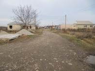 IMG_7346.JPG