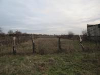 IMG_7349.JPG