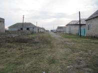 IMG_7352.JPG