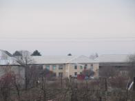 IMG_7355.JPG