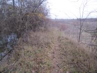 IMG_7356.JPG