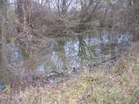 IMG_7357.JPG