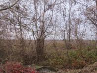 IMG_7362.JPG