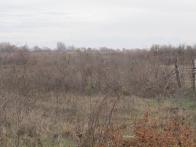 IMG_7363.JPG