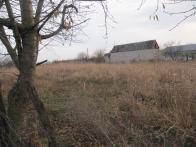 IMG_7367.JPG