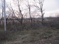 IMG_7369.JPG