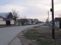 IMG_7377.JPG