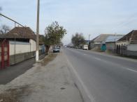 IMG_7408.JPG