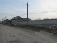 IMG_7417.JPG