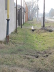 IMG_7424.JPG