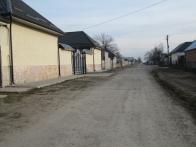 IMG_7427.JPG