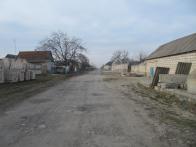 IMG_7429.JPG