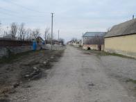 IMG_7433.JPG