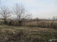IMG_7448.JPG