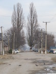 IMG_7462.JPG
