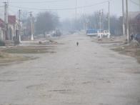 IMG_7474.JPG