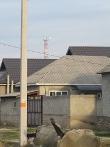 IMG_7484.JPG