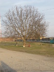 IMG_7492.JPG