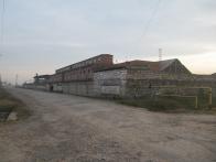 IMG_7493.JPG
