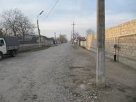IMG_7494.JPG
