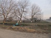 IMG_7496.JPG