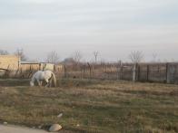 IMG_7500.JPG