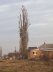 IMG_7507.JPG
