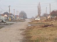 IMG_7510.JPG