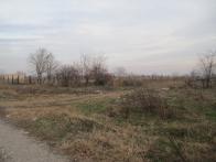 IMG_7515.JPG