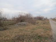 IMG_7517.JPG