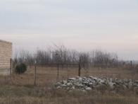 IMG_7519.JPG
